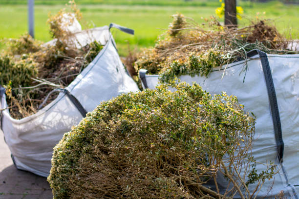 Best Local Junk Hauling  in Santa Clara, NM